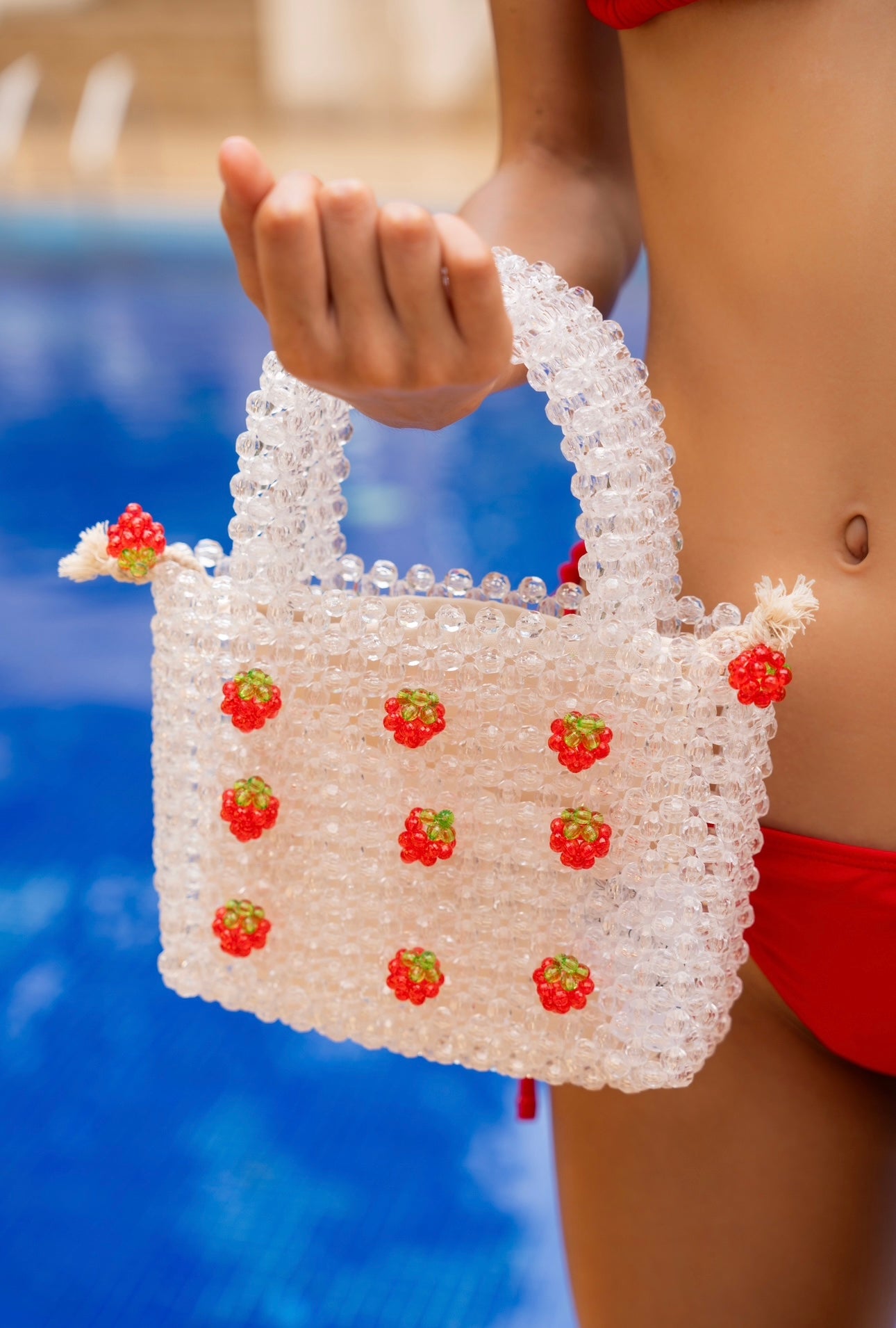 Strawberry Beads Purse